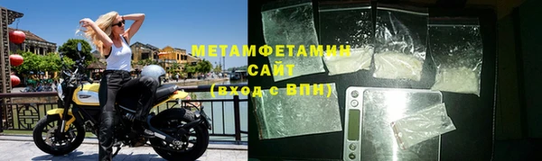 ГАЛЛЮЦИНОГЕННЫЕ ГРИБЫ Инсар