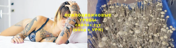 кокаин колумбия Каменногорск