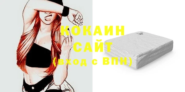 ГАЛЛЮЦИНОГЕННЫЕ ГРИБЫ Инсар